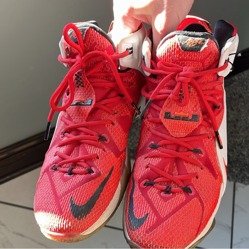 Lebron 6’s sneaker
